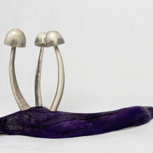 Mushrooms on Purple