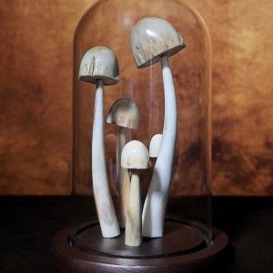 Mushrooms en Cloche