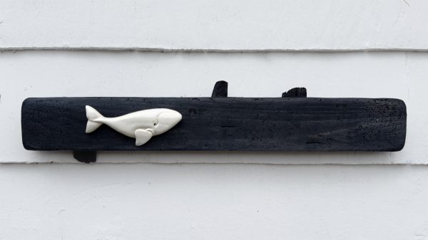 Right Whale