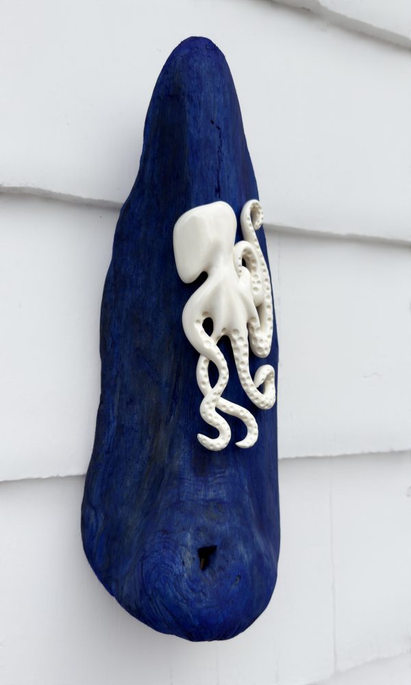 Octopus - Image 3